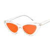 Classy Retro Cat Eye Sunglasses