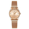 Luxury Fashionable Watch with Mesh Strap